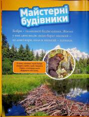 Книга Тварини-будівники. Фото 8