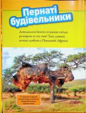 Книга Тварини-будівники. Фото 10