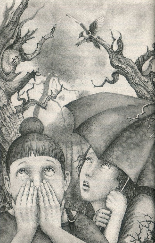 Книга Бухтик з тихого затону - Володимир Рутківський. Фото 6