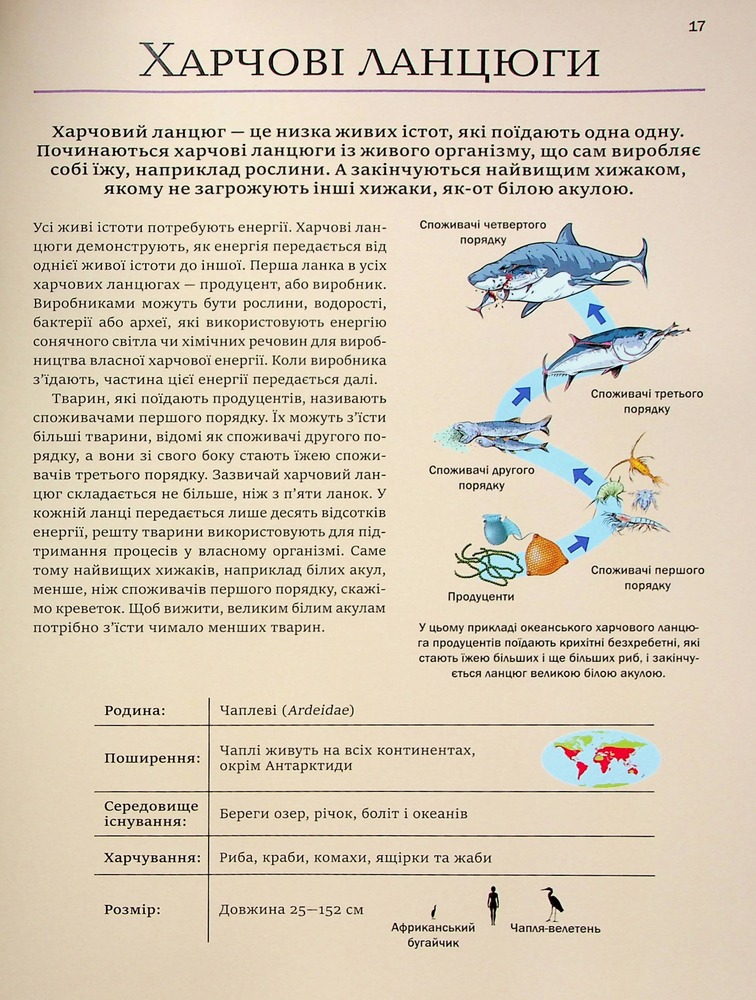 Книга Велика книга тварин. Фото 21