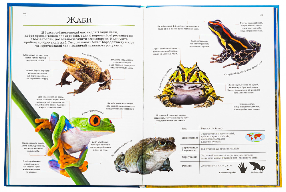 Книга Велика книга тварин. Фото 6