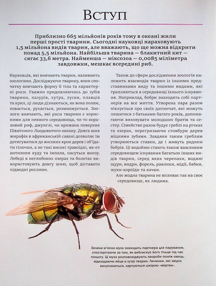Книга Велика книга тварин. Фото 8