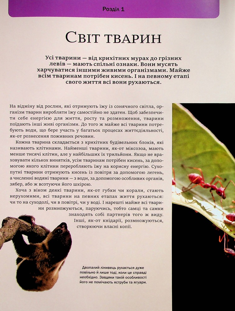 Книга Велика книга тварин. Фото 10