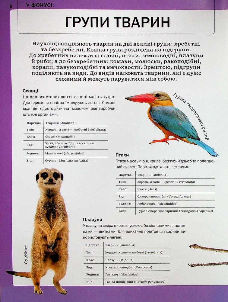 Книга Велика книга тварин. Фото 12