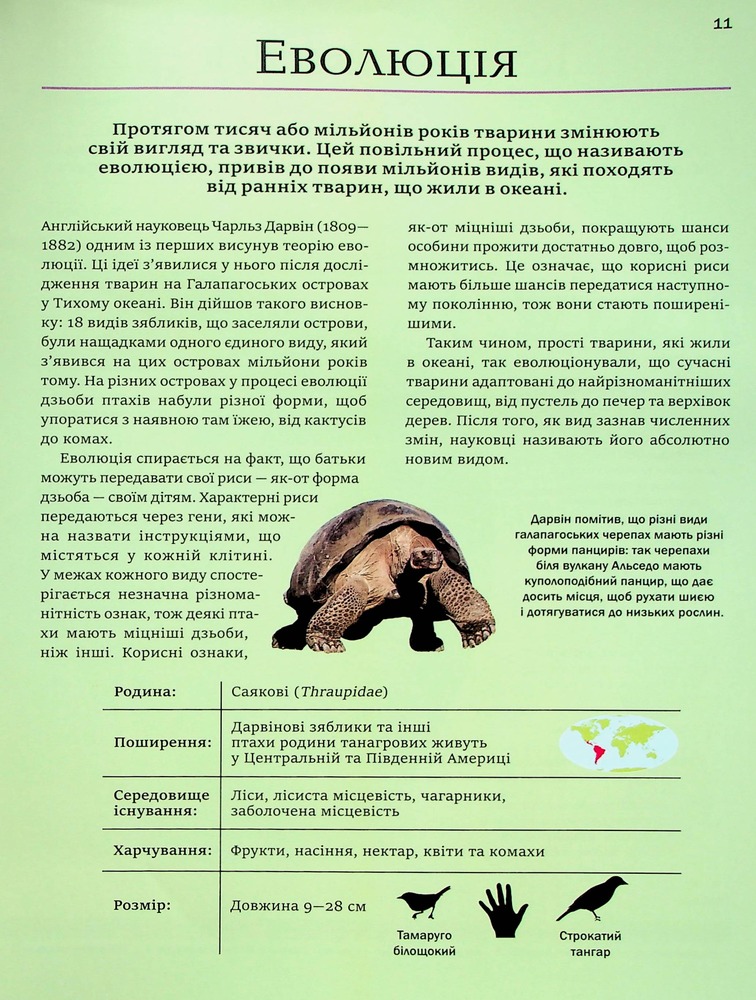 Книга Велика книга тварин. Фото 15