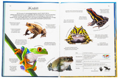 Книга Велика книга тварин. Фото 6