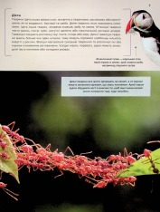 Книга Велика книга тварин. Фото 11