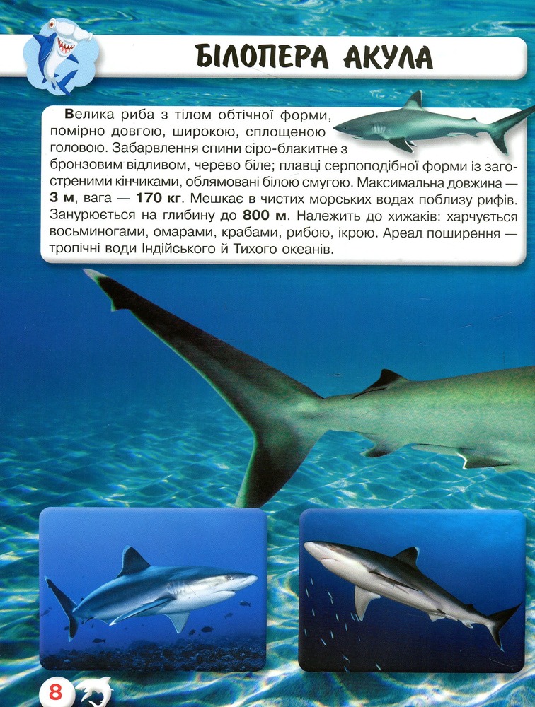 Книга Світ навколо нас. Акули. Фото 6