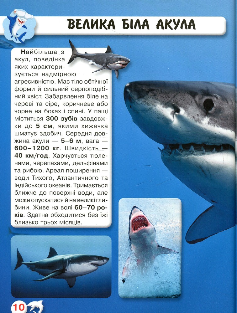 Книга Світ навколо нас. Акули. Фото 7