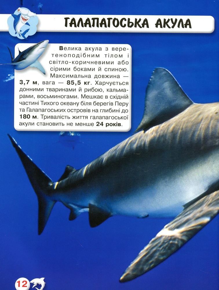 Книга Світ навколо нас. Акули. Фото 8