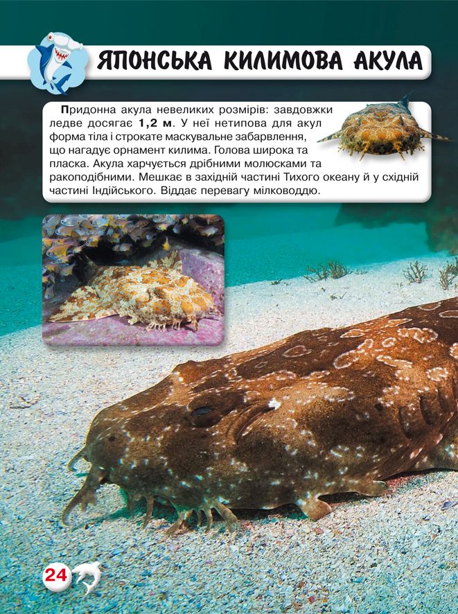 Книга Світ навколо нас. Акули. Фото 9