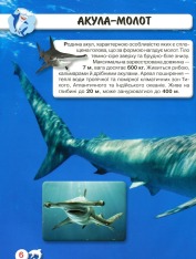 Книга Світ навколо нас. Акули. Фото 5