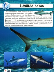 Книга Світ навколо нас. Акули. Фото 6
