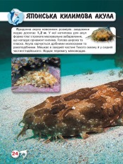 Книга Світ навколо нас. Акули. Фото 9