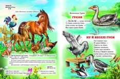 Книга Промінець. Веселі віршики про звірят. Фото 2