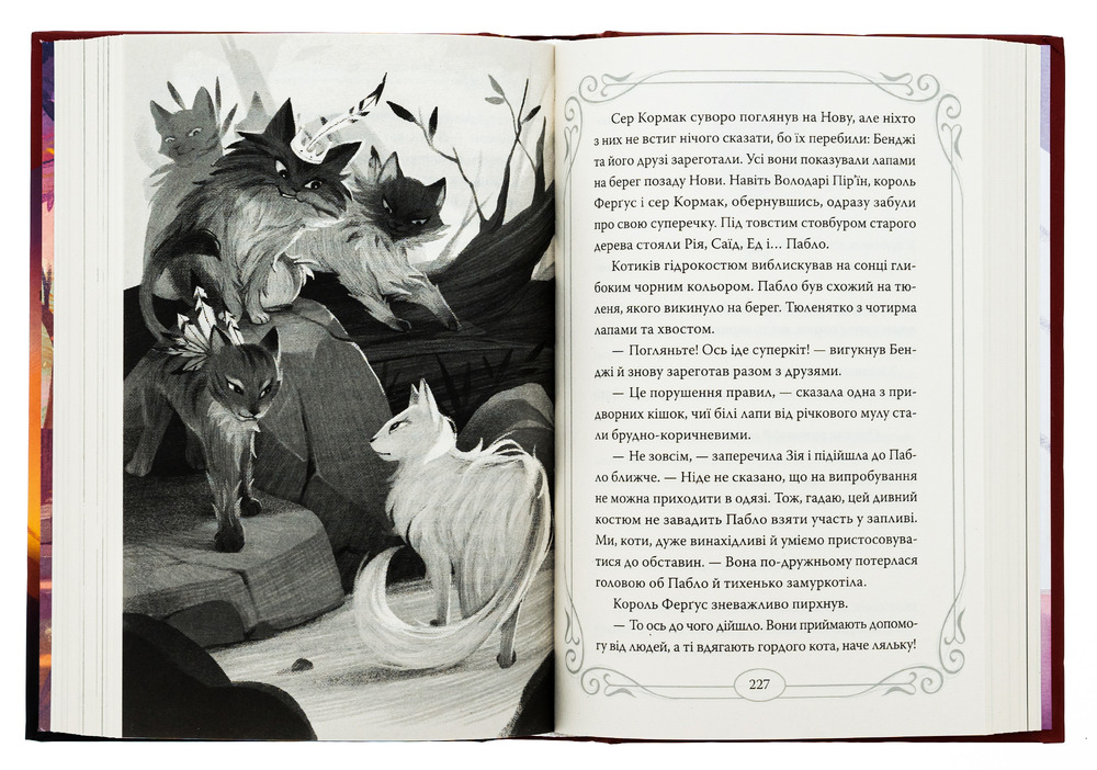 Книга Опівнічні коти. Книга 2. Хранителі Смарагдової Зірки - Барбара Лабан . Фото 6