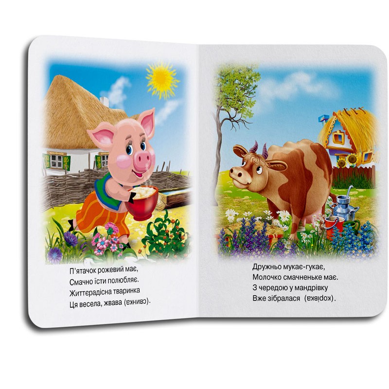 Кредо Про тварин. Загадки. Хто це? (з віконцем на обкладинці) 138*165. Фото 3