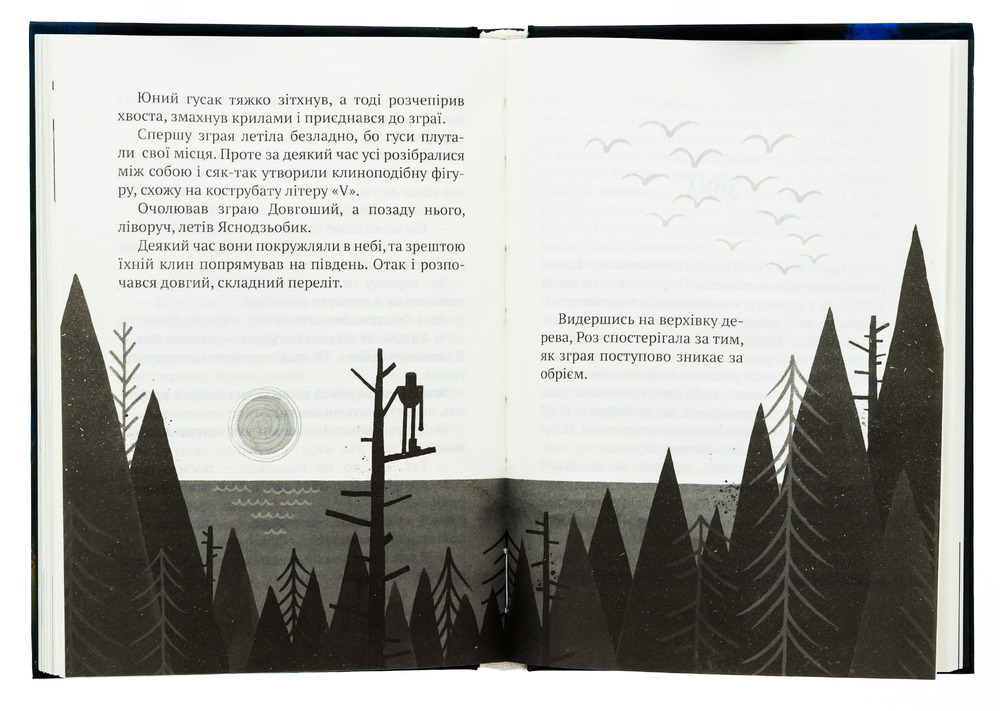 Книга Дикий робот - Пітер Браун. Фото 6