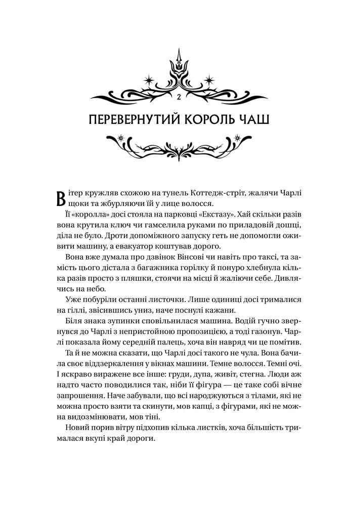 Книга Книга ночі - Голлі Блек (із кольоровим зрізом). Фото 19
