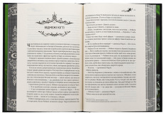 Книга Книга ночі - Голлі Блек (із кольоровим зрізом). Фото 7