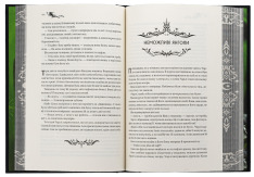 Книга Книга ночі - Голлі Блек (із кольоровим зрізом). Фото 6