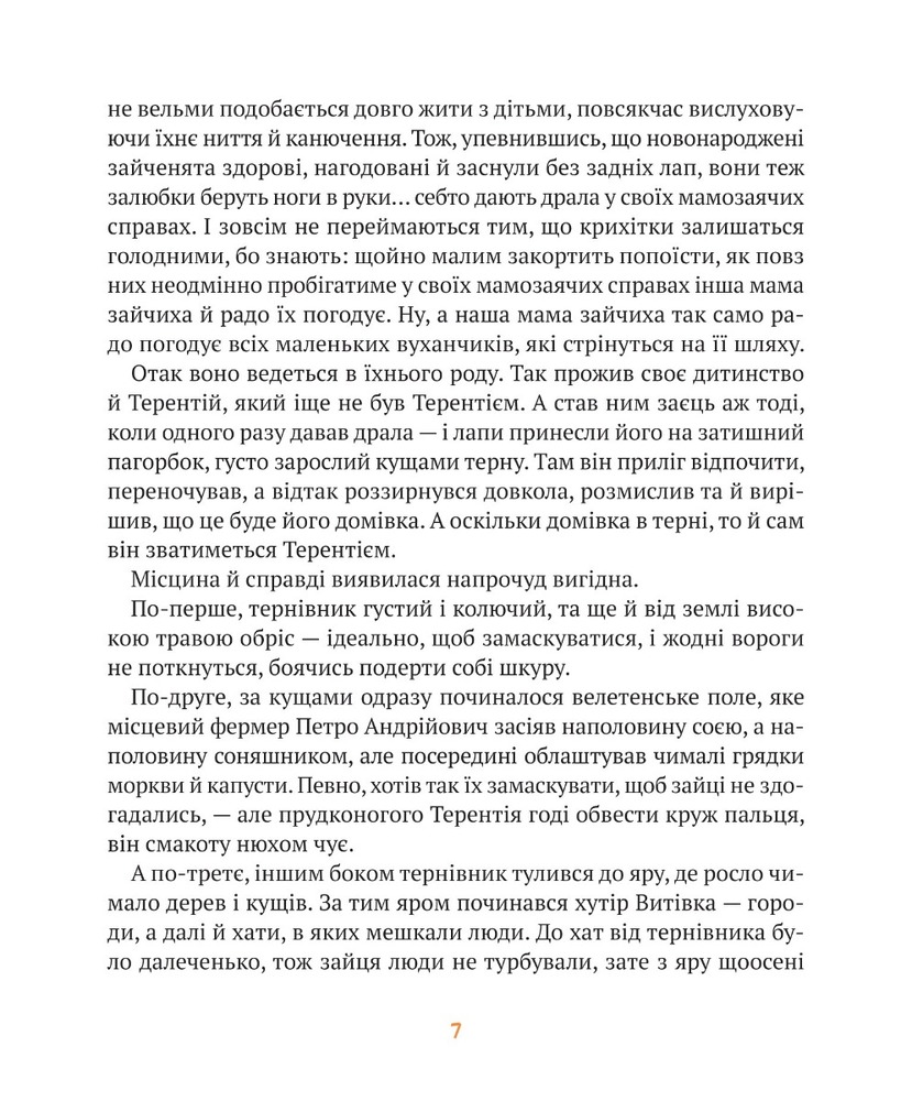 Книга Різдвяні справи детектива Жерара - Іван Андрусяк. Фото 7