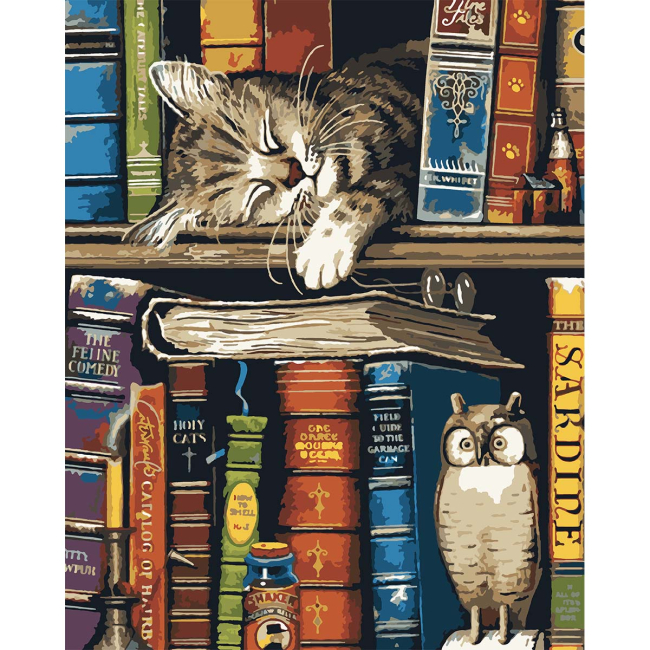 SANTI Картина за номерами. Котик та книжки 40х50 см
