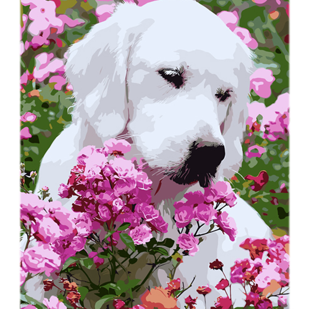 Strateg Картина за номерами. Бешкетник на кольоровому фоні 40х50 см