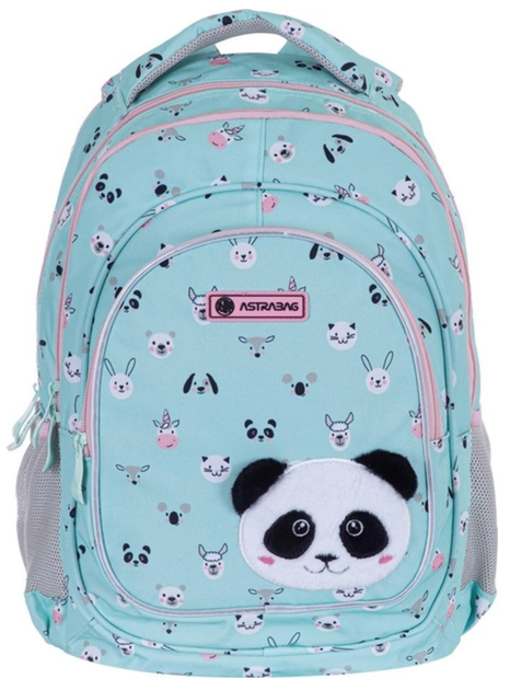 Рюкзак шкільний Astrabag AB330 Teddy panda