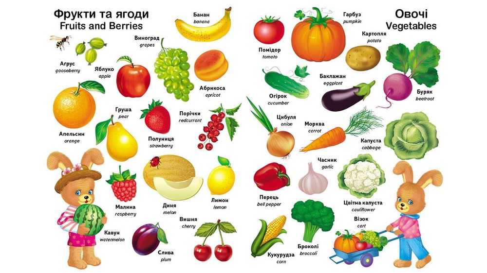 Пегас Перші слова малюка + англійська. Фото 2