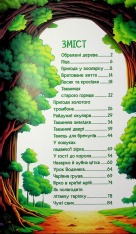 Книга Школярик. Дивовижні мандрівки. Жовта. Фото 3
