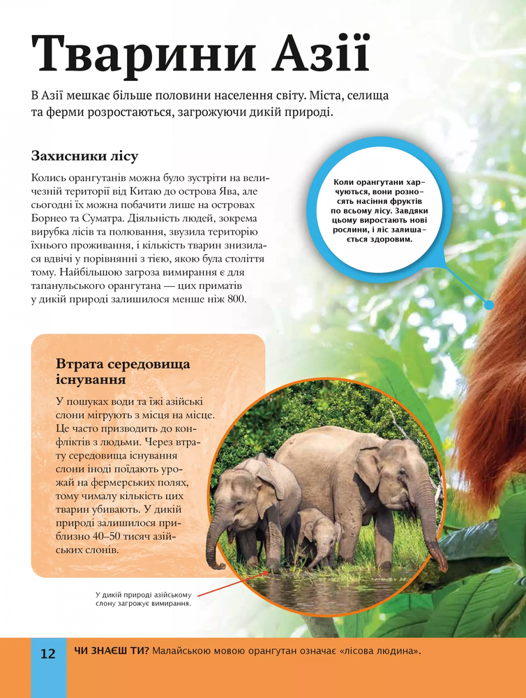 Книга Дитяча енциклопедія довкілля. Фото 16