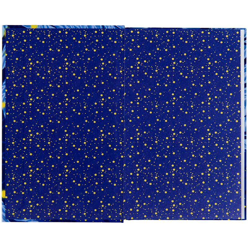 Книга записна Kite Синиця K22-199-3, тверда обкладинка, А6, 80 аркушів, клітинка. Фото 3