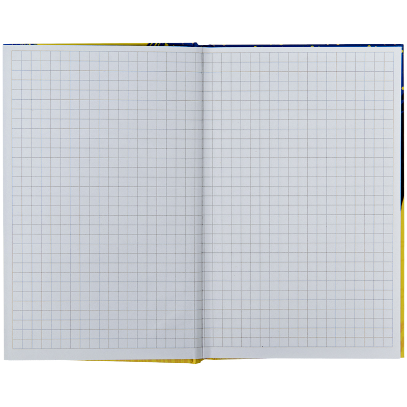 Книга записна Kite Українка K22-199-4, тверда обкладинка, А6, 80 аркушів, клітинка. Фото 4