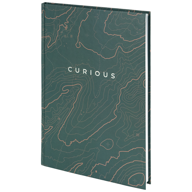 Книга записна Axent Earth Colors А4, 96 аркушів, клітинка, Curious 8422-577-A. Фото 2