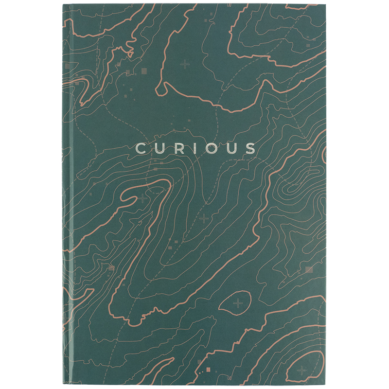 Книга записна Axent Earth Colors А4, 96 аркушів, клітинка, Curious 8422-577-A