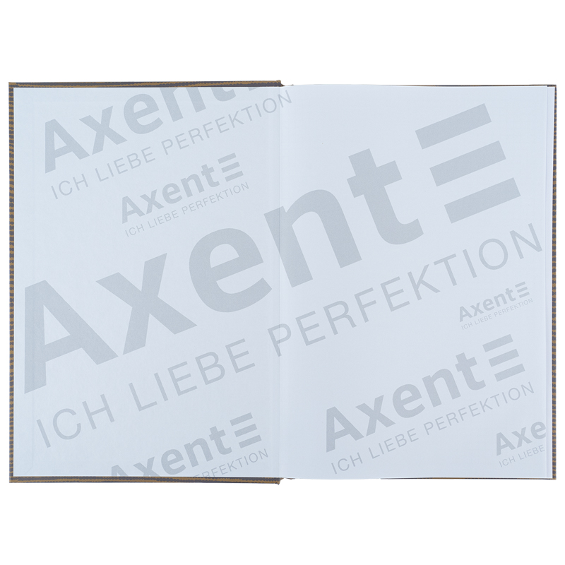Книга записна Axent Earth Colors А4, 96 аркушів, клітинка, Endless 8422-575-A. Фото 3