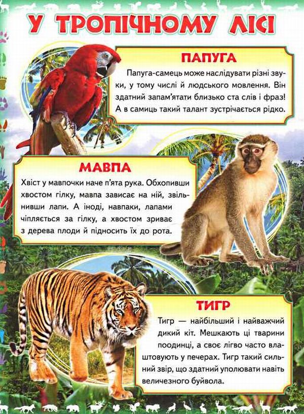 Книга Моя перша книга. Про диких тварин. Фото 4