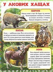 Книга Моя перша книга. Про диких тварин. Фото 3