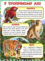 Книга Моя перша книга. Про диких тварин. Фото 4