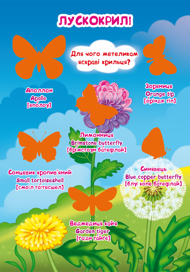 Велика книжка. Розвивальні наліпки. Розумнi завдання. Комахи та павукоподібні - Любов Корнєва. Фото 8