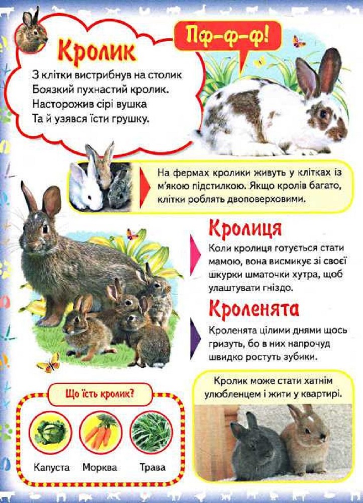 Книга Моя перша книга. Про свійських тварин. Фото 4
