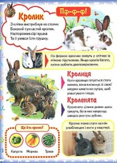 Книга Моя перша книга. Про свійських тварин. Фото 4
