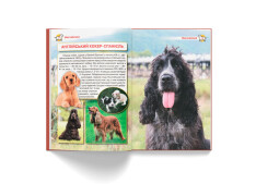 Книга Енциклопедія. Собаки. Фото 5