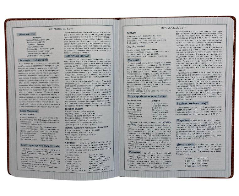 Щоденник шкільний Bourgeois B5 штучна шкіра 00-00015803. Фото 14