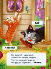 Книга Хто це? На подвір'ї. Фото 4