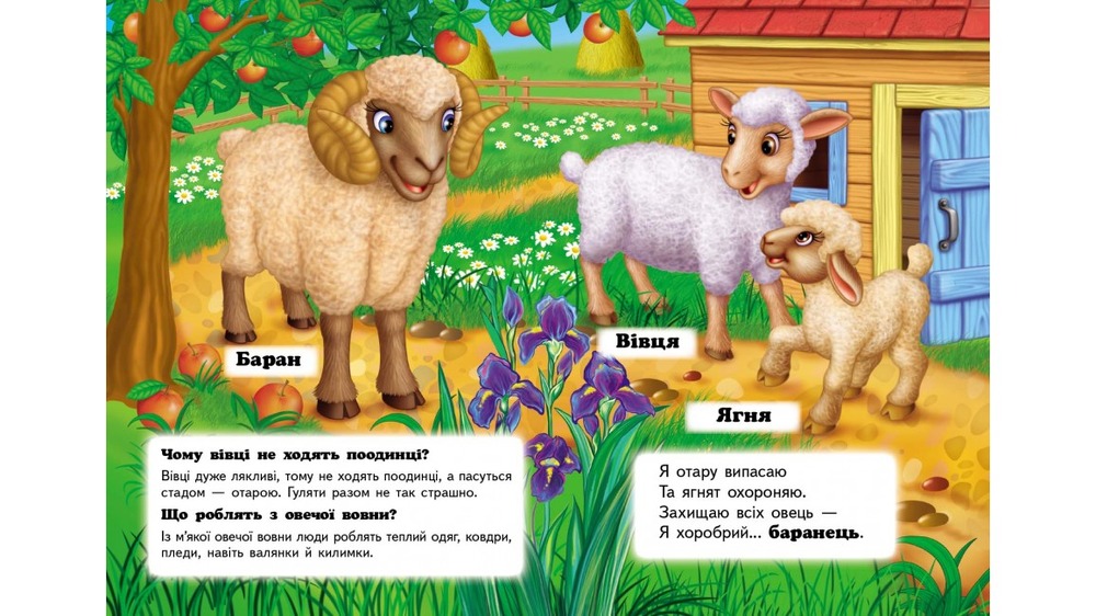 Книга Хто це? На фермі. Фото 5