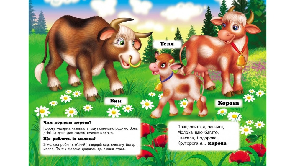 Книга Хто це? На фермі. Фото 2