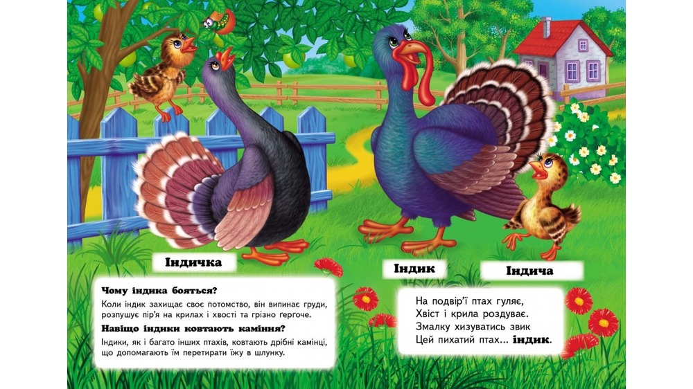 Книга Хто це? На фермі. Фото 3