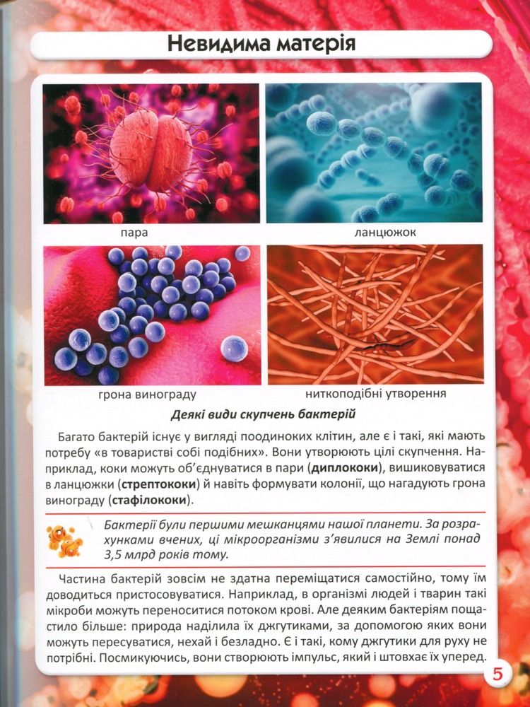 Книга Світ навколо нас. Бактерії. Фото 12